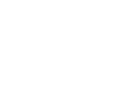 CHIP