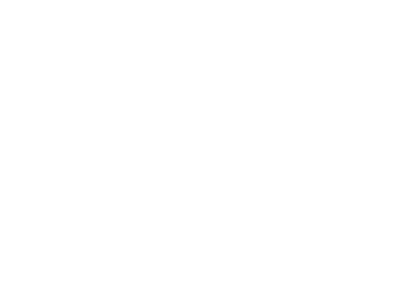 TD
